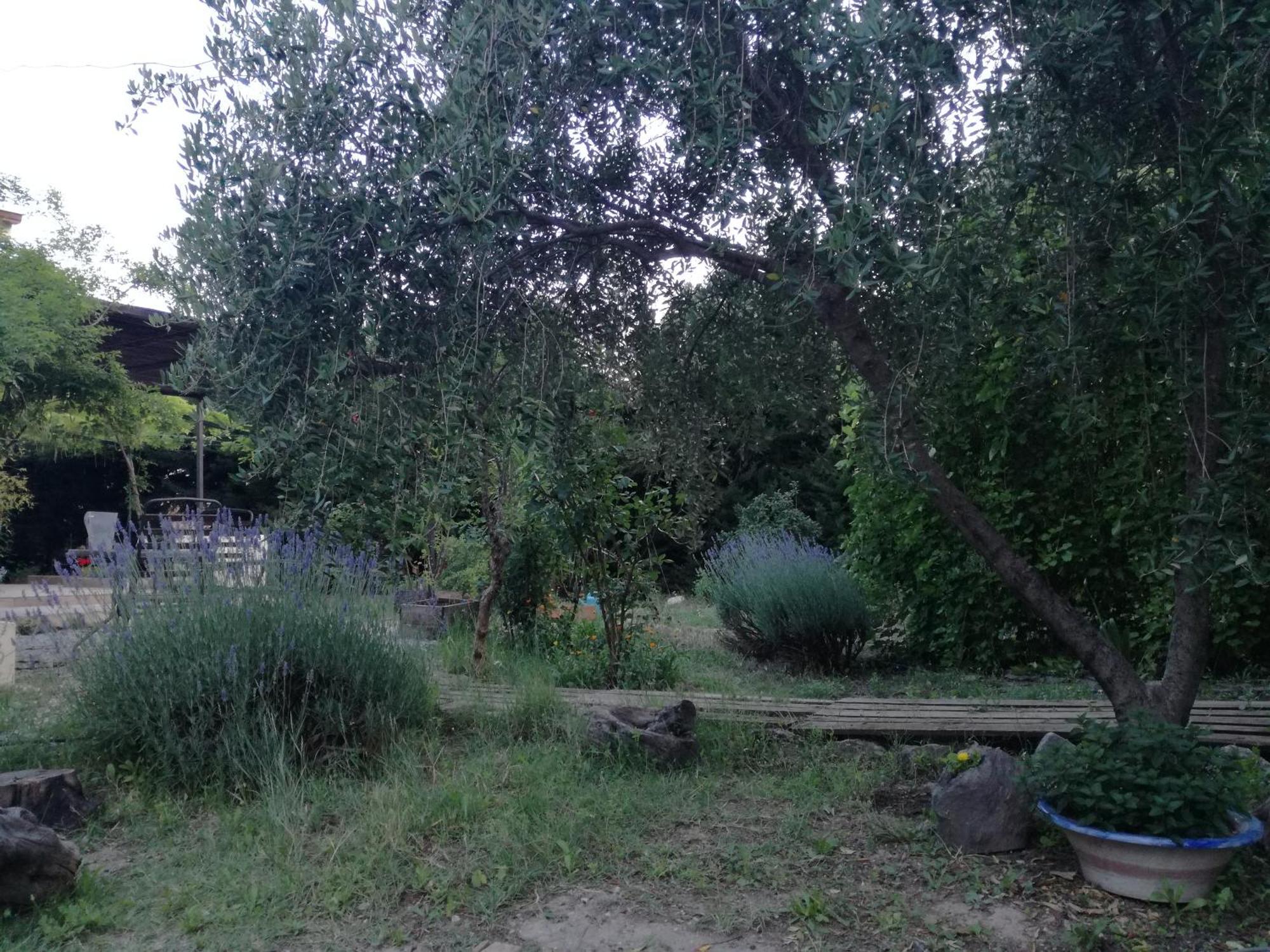 Villa Casa Con Jardin Y Aparcamiento En Viznar, Junto A Granada Exterior foto
