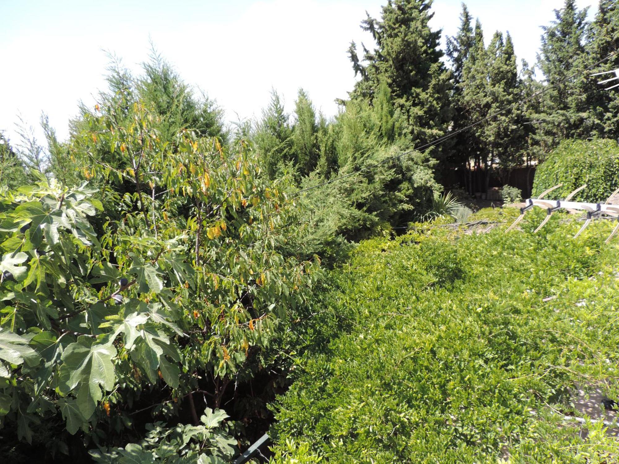 Villa Casa Con Jardin Y Aparcamiento En Viznar, Junto A Granada Exterior foto